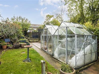 Garden: